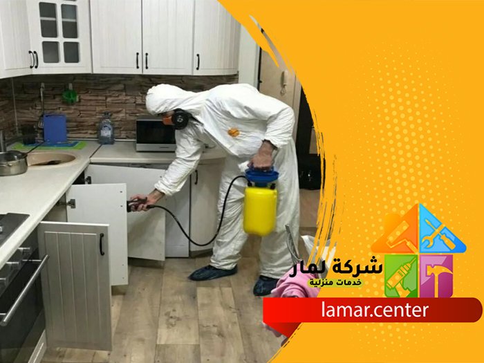 مكافحة الصراصير في المطبخ بالرياض 3 مكافحة الصراصير في المطبخ بالرياض