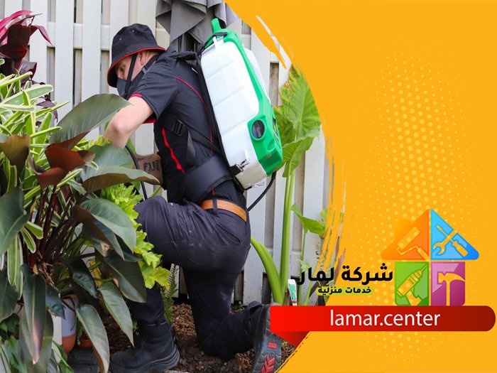 شركة مكافحة حشرات بالرياض