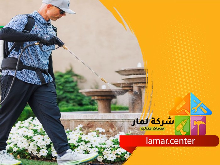 شركة مكافحة حشرات بالرياض 4 شركة مكافحة حشرات بالرياض