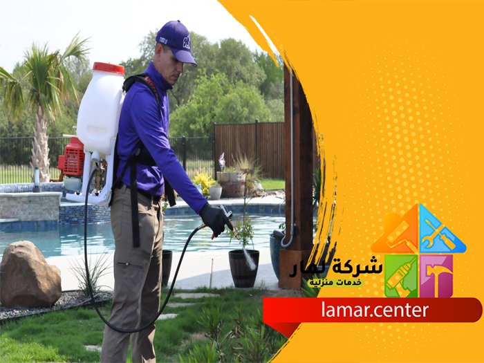 أرخص شركة مكافحة حشرات بالرياض 5 أرخص شركة مكافحة حشرات بالرياض
