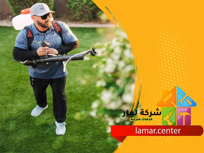 أرخص شركة مكافحة حشرات بالرياض 4 أرخص شركة مكافحة حشرات بالرياض