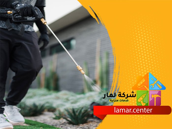 أرخص شركة مكافحة حشرات بالرياض 3 أرخص شركة مكافحة حشرات بالرياض
