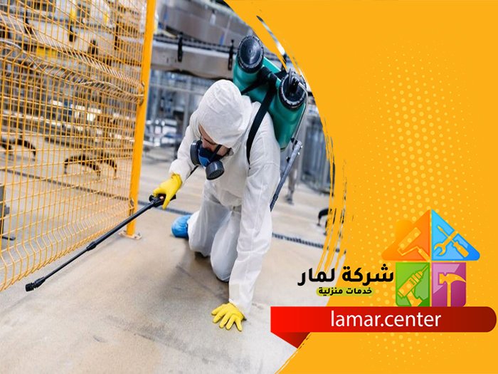 افضل شركة مكافحة حشرات بالرياض 1 افضل شركة مكافحة حشرات