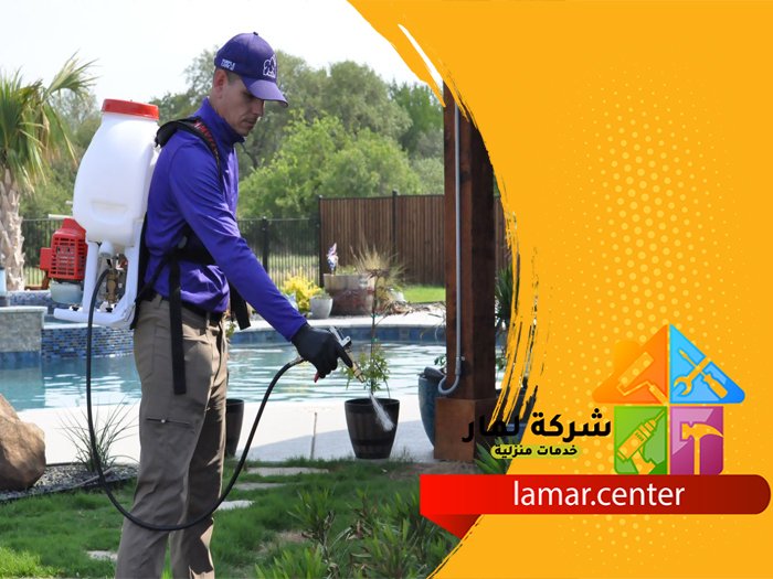 شركة مكافحة حشرات بالخرج 5 شركة مكافحة حشرات